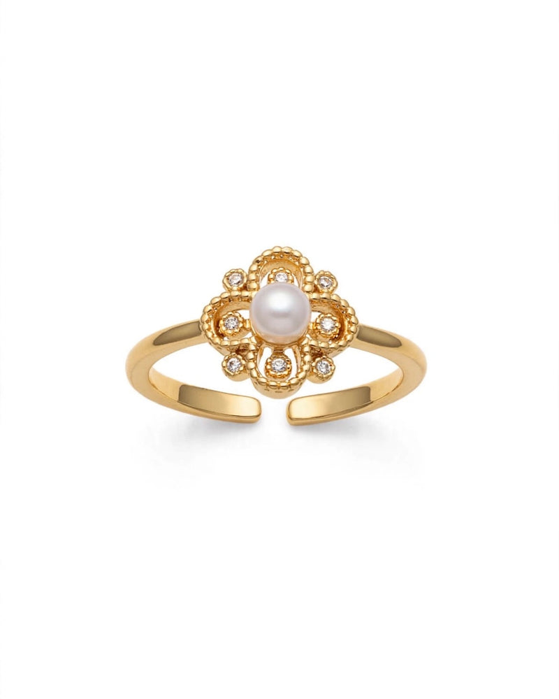 Sol Mare Sculpt Collection | 18K Gold PVD | 3-Year Warranty