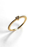 Sol Mare Sculpt Collection | 18K Gold PVD | 3-Year Warranty