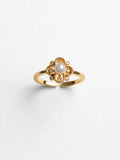Sol Mare Sculpt Collection | 18K Gold PVD | 3-Year Warranty