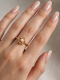 Sol Mare Sculpt Collection | 18K Gold PVD | 3-Year Warranty