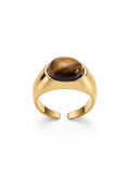 Sol Mare Sculpt Collection | 18K Gold PVD | 3-Year Warranty
