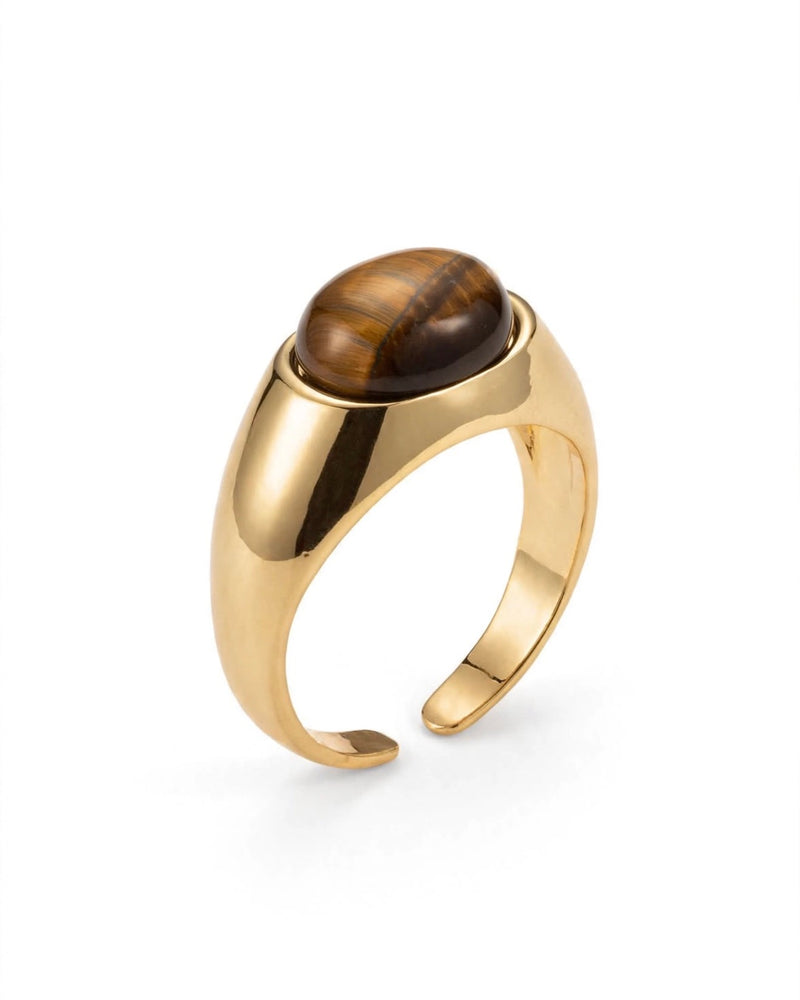 Sol Mare Sculpt Collection | 18K Gold PVD | 3-Year Warranty