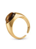 Sol Mare Sculpt Collection | 18K Gold PVD | 3-Year Warranty