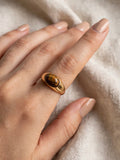 Sol Mare Sculpt Collection | 18K Gold PVD | 3-Year Warranty