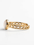 Sol Mare Sculpt Collection | 18K Gold PVD | 3-Year Warranty