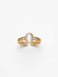Sol Mare Sculpt Collection | 18K Gold PVD | 3-Year Warranty