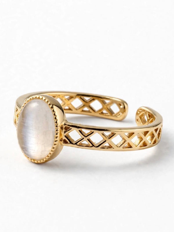 Sol Mare Sculpt Collection | 18K Gold PVD | 3-Year Warranty