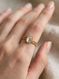 Sol Mare Sculpt Collection | 18K Gold PVD | 3-Year Warranty