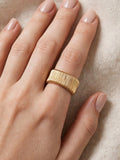 Sol Mare Sculpt Collection | 18K Gold PVD | 3-Year Warranty